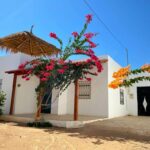 Photo-4 : Villa S+3 avec garage et jardin à Midoun Djerba