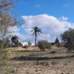 Photo-10 : Parcelle de 820 m² à Tellala Djerba