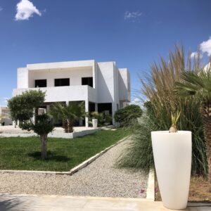 Habitation et projet à Hammamet sud 1 hectare 1134 are (11.134m²)