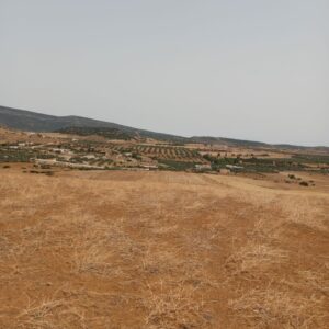 Terrain de 17000m² à Hammamet