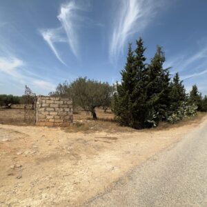 Terrain agricole de 57000m² à Boulidine Korba, Nabeul