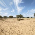 Photo-6 : Terrain agricole de 57000m² à Boulidine Korba, Nabeul