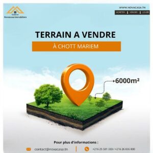 Terrain 6000m² à chott mariem